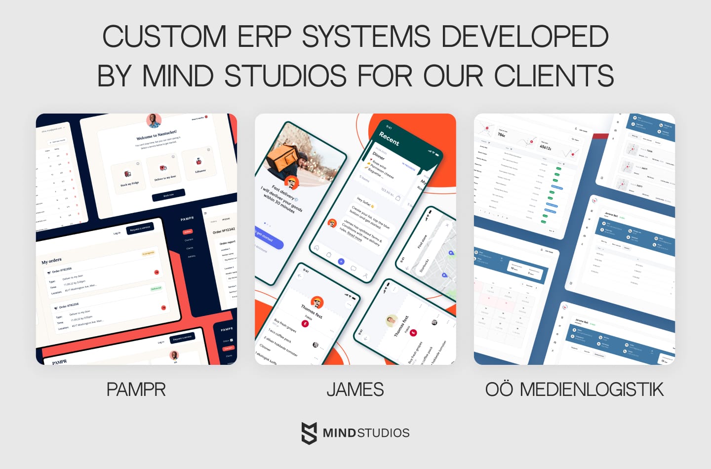 Custom ERP systems developed by Mind Studios